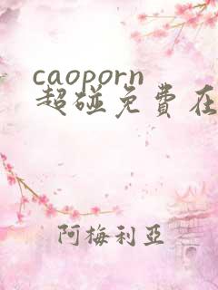caoporn超碰免费在线