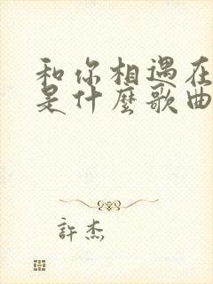 和你相遇在人海是什么歌曲