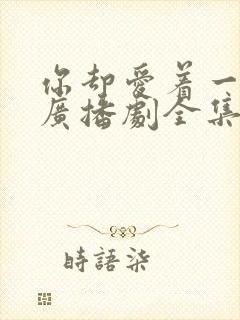 你却爱着一个他广播剧全集完整版