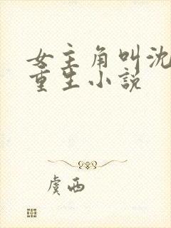 女主角叫沈清的重生小说