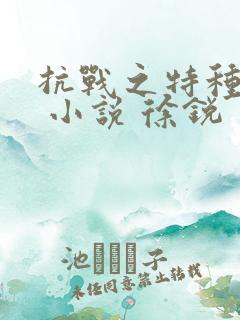 抗战之特种兵王 小说 徐锐