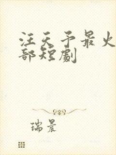 汪天予最火二十部短剧