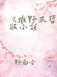 《撒野巫哲》正版小说