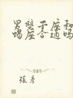 男双子座和女天蝎座合适吗