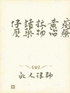 仔猪拉黄痢用什么药物治疗