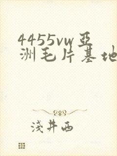 4455vw亚洲毛片基地