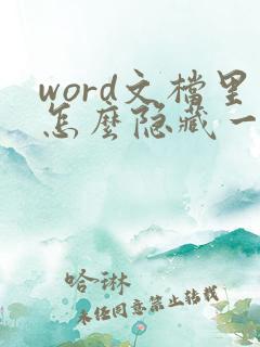 word文档里怎么隐藏一段文字