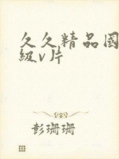 久久精品国产一级v片