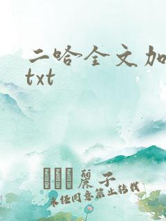二哈全文加番外txt