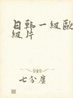 日韩一级欧美一级片