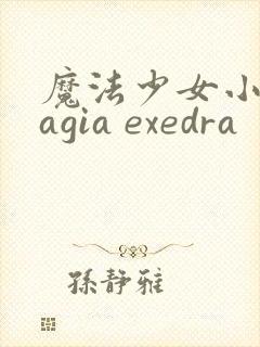 魔法少女小圆magia exedra