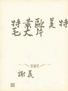 特黄欧美特黄黄毛大片