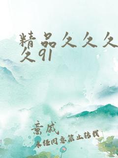 精品久久久久久久91