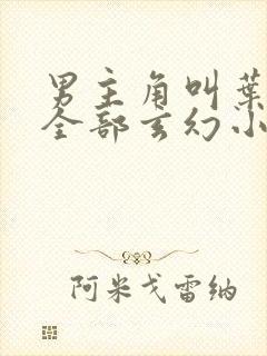 男主角叫叶天的全部玄幻小说