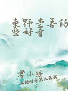 东野圭吾的书哪些好看