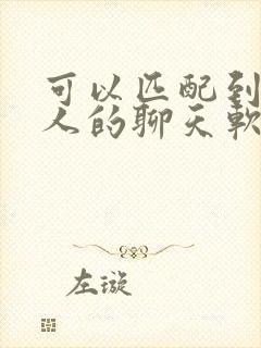 可以匹配到外国人的聊天软件