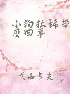 小狗拉稀带血怎么回事