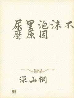 尿里泡沫不消什么原因