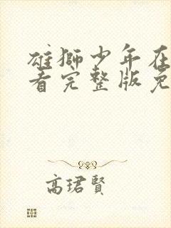 雄狮少年在线观看完整版免费国语