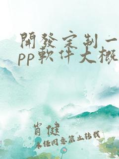 开发定制一个app软件大概多少钱