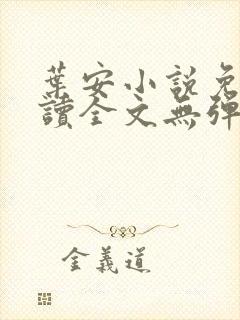 叶安小说免费阅读全文无弹窗