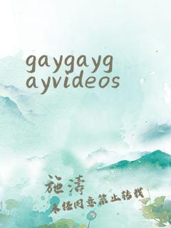 gaygaygayvideos