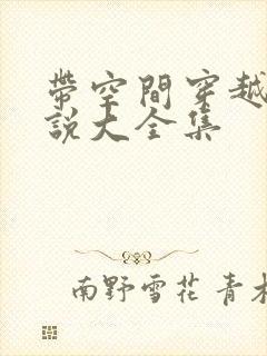 带空间穿越的小说大全集