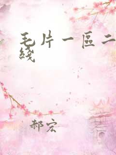 毛片一区二区在线