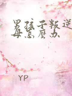 男孩子叛逆打父母怎么办