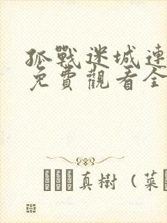 孤战迷城连续剧免费观看全集高清