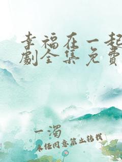 幸福在一起电视剧全集免费观看