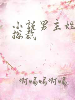 小说男主姓闻是总裁