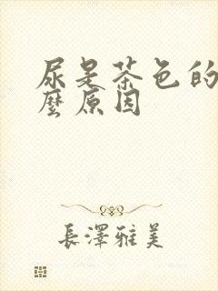 尿是茶色的是什么原因