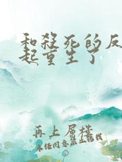 和杀死的反派一起重生了