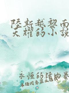 陆斯越黎南笙徐天耀的小说