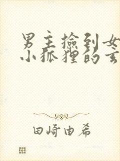 男主捡到女主是小狐狸的玄幻小说