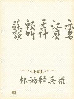 苏轻柔江亦辰小说叫什么名字