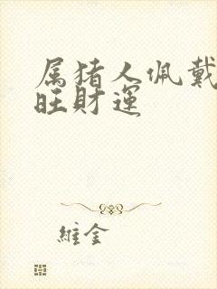 属猪人佩戴什么旺财运