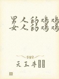 男人的鸡鸡插进女人的鸡鸡里面视频