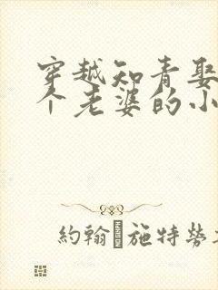 穿越知青娶了三个老婆的小说