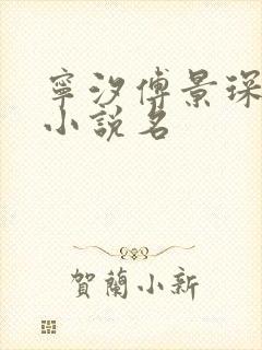 宁汐傅景琛林鸢小说名