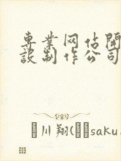 专业网站开发建设制作公司