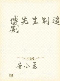 傅先生别追了短剧