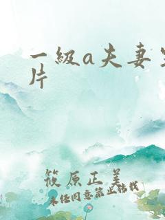 一级a夫妻生活片