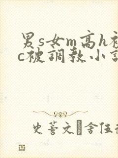 男s女m高h被c被调教小说