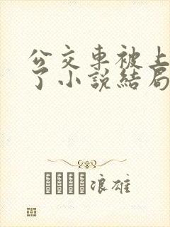 公交车被上高潮了小说结局