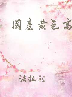 国产黄色高清片