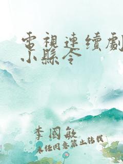 电视连续剧九岁小县令