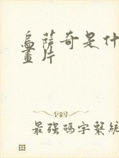 乌萨奇是什么动画片