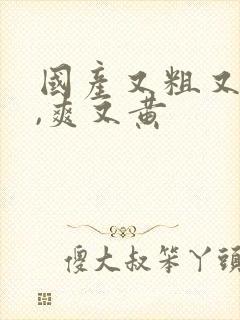 国产又粗又猛又,爽又黄